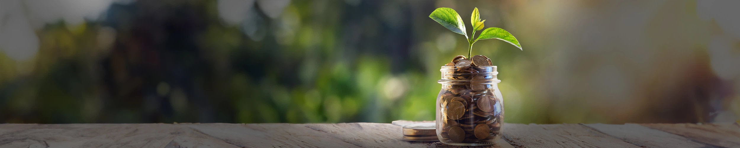 image of a plant sprouting from a mason jar full of coins (Green Payroll hero image)