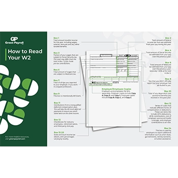 preview image of Green Payroll's "How to Read Your W2 Form" downloadable guide